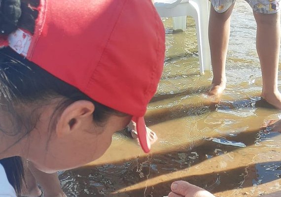 Piranhas voltam a atacar banhistas no Rio São Francisco