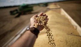 Faturamento das cooperativas agropecuárias cresceu 20% em 2022