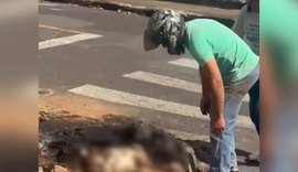 Homem é preso após agredir ex-companheira e incendiar cadela viva
