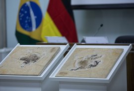 Dinossauros brasileiros retirados ilegalmente podem voltar ao país