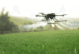 Drone promete aplicação mais barata e eficiente de produtos agrícolas em Alagoas