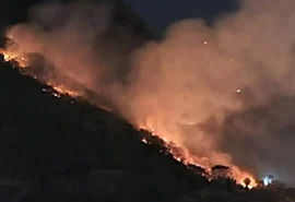 Bombeiros combatem fogo na Floresta da Tijuca por mais de 14 horas