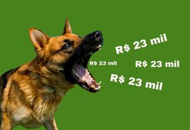 Lei que proíbe cachorro de latir é aprovada por vereadores em SC