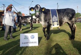 71ª Expoagro/AL vai sediar eventos regionais da raça Girolando