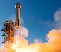 Embrapa inicia pesquisas sobre cultivo de batata-doce e grão-de-bico no espaço