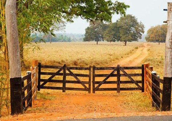 Banco do Brasil lança plataforma para venda de fazendas