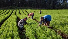 Questão ambiental será principal entrave para produtores rurais