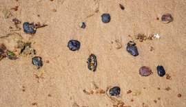 Davi Maia acompanha aparecimento de manchas de óleo no Litoral de Alagoas