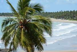 Praia do Patacho é a única praia alagoana nomeada para receber selo internacional de turismo