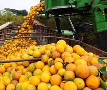 Exportações do agro brasileiro somam US$ 82 bi e reforçam superávit comercial