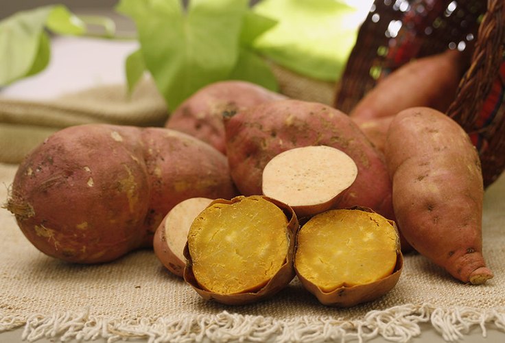 Embrapa apresenta batata-doce biofortificada e de alta produtividade