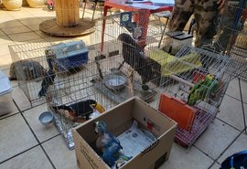 PF prende um dos principais traficantes de animais do país