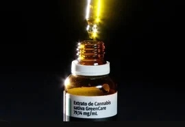 Musculação lidera entre pacientes que usam medicamentos canábicos