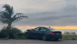 Motorista invade calçada e derruba coqueiro na orla de Maceió