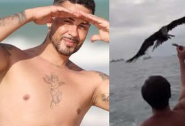 Justiça suspende multa de R$ 1 milhão contra Carlinhos Maia por vídeo de gaivota