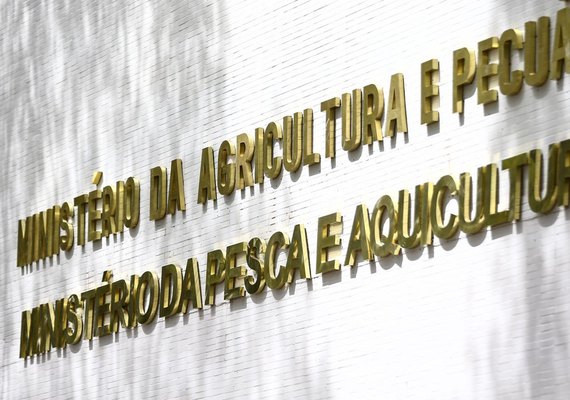 Gripe aviária leva o Paraná a decretar emergência zoossanitária