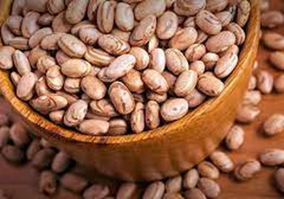 Projeto entre Sebrae e Instituto visa aumentar produção e consumo do feijão em 12 meses