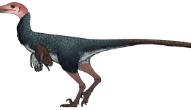 Nova espécie de dinossauro emplumado com crânio espesso é descoberta no México