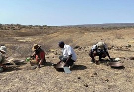 Estudo revela que hominídeos já usavam técnicas de açougue há 1,6 mi de anos