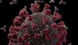 Alagoas registra 116 novos casos de Covid-19 e uma morte neste terça (11)