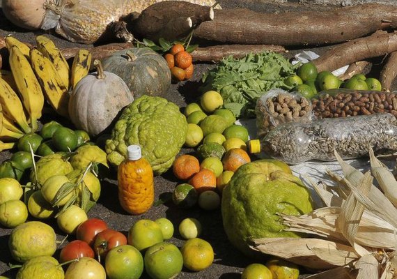 CMN publica resoluções de auxílio a produtores rurais