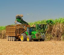 Safra segue com produção de açúcar acima de 326 mil toneladas