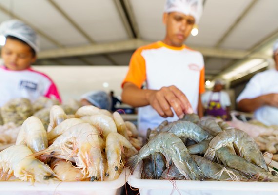 Fapeal e Ministério da Pesca lançam edital para o ensino médio