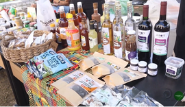 Rede Coop cria novo circuito de mercado para cooperativas em Alagoas