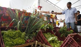Decreto adia para 2027 exigência de CNPJ para autônomos e produtores rurais
