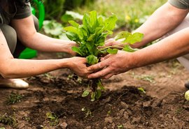 Cooperativa de Colonização Agropecuária de Penedo realiza 1º Circuito Agro Coopenedo