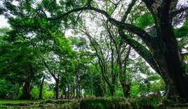 Parque do Horto recebe ações voltadas à mulher neste sábado (21)