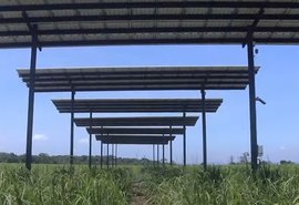 Pesquisa inédita testa viabilidade da geração de energia solar em usina alagoana