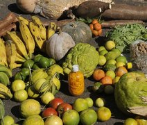 Moradores do campo também são afetados pela fome no Brasil