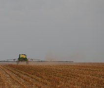 China acelera autossuficiência e impõe risco estrutural ao futuro do agro brasileiro
