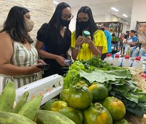 Cooperativas da Unicafes vão representar agricultura familiar do Estado em feira no RN
