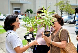 Semana Maceió Mais Sustentável doará mais de mil mudas