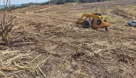 Safra de cana chega ao fim em Alagoas com produção de 17,4 milhões de toneladas