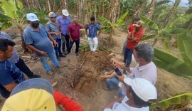 Alagoas: Branquinha realiza ação para fortalecer cultivo e produção de banana