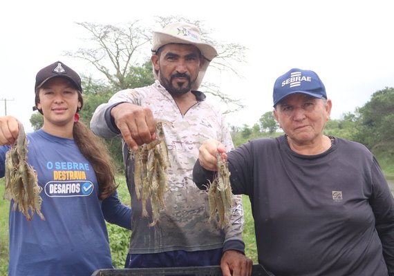 Cadeia produtiva do camarão avança em Alagoas com apoio do Senar