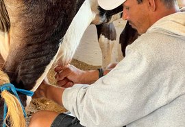 Expo Bacia Leiteira traz mais uma edição do tradicional Torneio Leiteiro da Agricultura Familiar