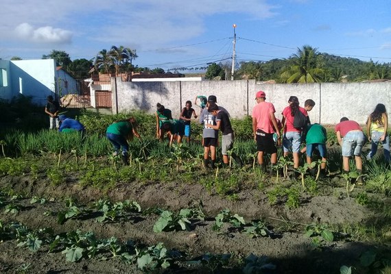 O Amanhã de Pindorama abre inscrições para 15ª turma