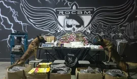 Casa abandonada vira depósito de drogas e polícia apreende mais de 50 kg em Arapiraca