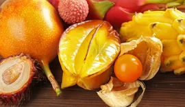 Do Brasil para o mundo: frutas exóticas ampliam mercado