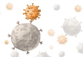 Alagoas registra 112 novos casos e seis óbitos por Covid-19