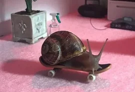 Acumulando mais de 600K seguidores, lesma vira influenciadora e faz publi da Burberry