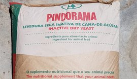 Pindorama promove lançamento de levedura inativa da cana