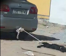 Crueldade: vídeo mostra cão amarrado e arrastado por carro em Maceió