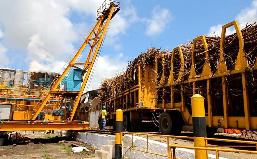 Usinas processaram mais de 15,7 mi de toneladas de cana