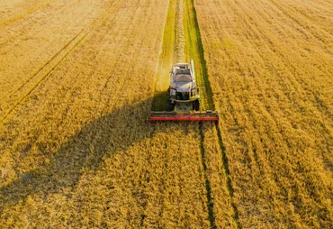 Puxado pelo agro, PIB do Brasil avança 1,4% no primeiro trimestre