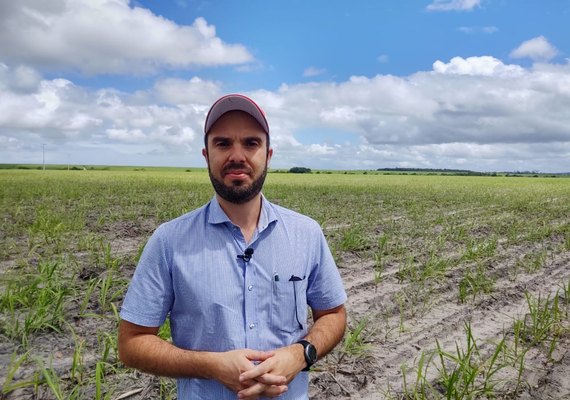 Asplana alerta para reflexo da queda do petróleo no setor canavieiro